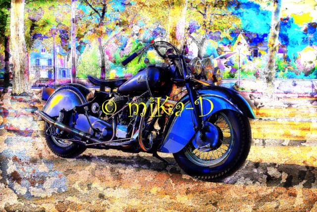 indian chief 
