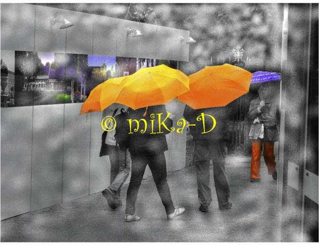  les parapluies 